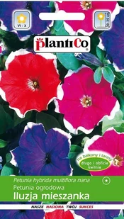 Petunia ogrodowa Iluzja mix 0,05 g Plantico - Nasiona i cebule - miniaturka - grafika 1