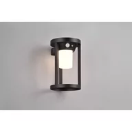Lampy ogrodowe - Carmo LED kinkiet zewnętrzny solarny z czujnikiem ruchu antracyt 241069132 - miniaturka - grafika 1