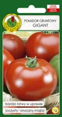 Nasiona i cebule - Pomidor Gruntowy Gigant Soczysty Nasiona Bez Gmo - miniaturka - grafika 1
