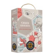 Xplore Team. Gra edukacyjna. Ciało człowieka - Książki edukacyjne - miniaturka - grafika 4