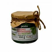 Sosy w słoikach - PESTO Z CZOSNKU NIEDŹWIEDZIEGO ALLA BIESZCZADY BIESZCZADZKIE HERBARIUM - miniaturka - grafika 1