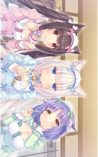 Plakat Anime Manga Nekopara np_028 A2 (custom)