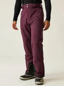 Spodnie narciarskie - Dare 2b Spodnie narciarskie "Achieve II" w kolorze bordowym - miniaturka - grafika 1