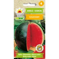 Nasiona i cebule - Arbuz Sugar Baby nasiona warzywa 1g TORAF - miniaturka - grafika 1