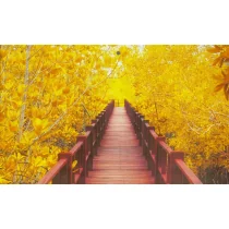 Aniew Kalendarz 2019 Trójdzielny Most - Kalendarze - miniaturka - grafika 2