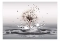Fototapety - Fototapeta - Krople wiatru (rozmiar 100x70) - miniaturka - grafika 1
