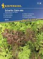 Nasiona i cebule - Kiepenkerl Sałata musztardowa 102039 - miniaturka - grafika 1