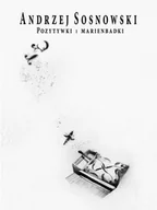 Poezja - Pozytywki i marienbadki - miniaturka - grafika 1