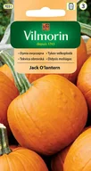 Nasiona i cebule - Dynia okrągła Jack O'lantern nasiona 2g Vilmorin - miniaturka - grafika 1