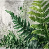 Fototapety - Fototapeta Zielone Liście Palmy na Betonie 150x105 cm Tapeta Do Sypialni Salonu Kuchni Na Flizelinie - miniaturka - grafika 1