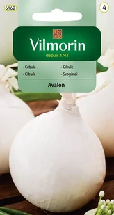 Cebula Avalon 3 g Vilmorin - Nasiona i cebule - miniaturka - grafika 1