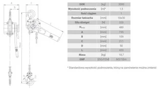 IMPROWEGLE Wciągnik łańcuchowy, rukcug (udźwig: 3000 kg, wysokość podnoszenia: 3 m) 33982167 - Wciągarki - miniaturka - grafika 2