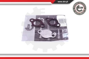 Zestaw naprawczy, zawór AGR Esen SKV 14SKV572 - Układ zasilania - akcesoria - miniaturka - grafika 1