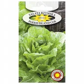 Nasiona i cebule - SAŁATA RZYMSKA PARRIS ISLAND COS nasiona warzyw - miniaturka - grafika 1