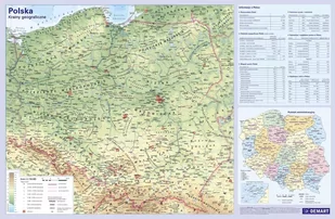 Demart Podkładka na biurko Mapa Polski. - Przybory szkolne - miniaturka - grafika 2