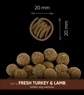 Sucha karma dla psów - SAVORY KARMA SUCHA Z INDYKIEM Z JAGNIĘCINĄ DLA PSÓW DOROSŁYCH DUŻYCH RAS 12 KG - miniaturka - grafika 1