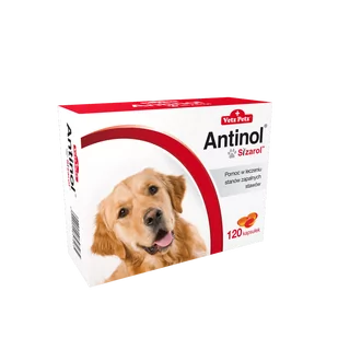 BIOVICO ANTINOL SIZAROL 120 tabletek NA STAWY + niespodzianka dla psa GRATIS! - Suplementy i witaminy dla psów - miniaturka - grafika 2