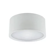 Lampy sufitowe - Ideus Plafon 15W LED 4000K 03110 - miniaturka - grafika 1