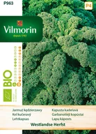 Nasiona i cebule - Jarmuż Westlandse Herfst BIO nasiona 2g Vilmorin - miniaturka - grafika 1
