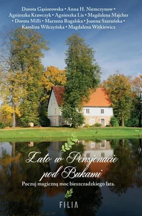 Lato w Pensjonacie pod Bukami - E-booki - literatura polska - miniaturka - grafika 1