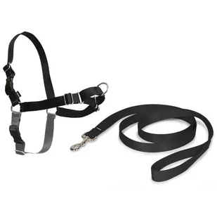 PetSafe Easy Walk uprząż dla psa, z lnianym sznurkiem o długości 1,8 m, bez ciągnięcia, wysoki komfort noszenia, łatwe zakładanie i zdejmowanie, mały, czarny (EW-H-S-BK-45) - Sprzęt wspinaczkowy - miniaturka - grafika 1
