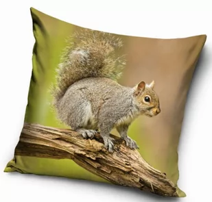 Poszewka na jasiek 40x40 wiewiórka - Poszewki na poduszki - miniaturka - grafika 1