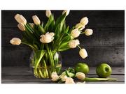 Fototapety - Oobrazy Fototapeta Kremowe tulipany, 8 elementów, 412x248 cm - miniaturka - grafika 1