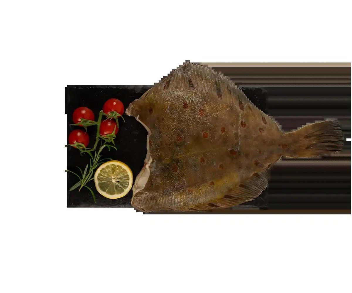 Gładzica tusza świeża 0,4-1 kg