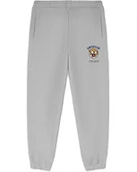 Spodnie sportowe męskie - AMERICAN COLLEGE USA Spodnie dresowe męskie, Szary, XL - miniaturka - grafika 1