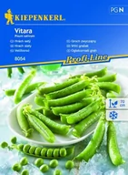 Nasiona i cebule - Groch Zwyczajny Vitara – Kiepenkerl - miniaturka - grafika 1