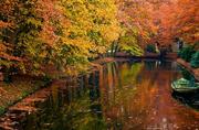Fototapety - Nice Wall Jeziorko w lesie, jesień - fototapeta FS0384 - miniaturka - grafika 1