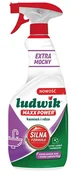 Inne artykuły czyszczące - Płyn do odkamieniania i rdzy Ludwik Maxx Power 600 ml - miniaturka - grafika 1