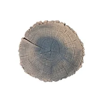 Kostki brukowe i krawężniki - Płyta dekoracyjna Pień Mini 32 cm ciemny brąz - miniaturka - grafika 1