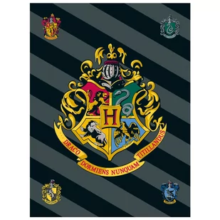 Harry Potter Hogwarts Narzuta/koc 100x150 cm, OEKO-TEX - Narzuty - miniaturka - grafika 1
