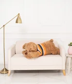 Maskotki i pluszaki - Miś Gustaw Duży Pies Dexter Pluszak brązowy 120cm - miniaturka - grafika 1