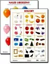 Plansza Kolory Nasze urodziny - Harmonia - Materiały pomocnicze dla nauczycieli - miniaturka - grafika 1