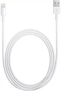 Kabel USB - Lightning APPLE MD819ZM/A, 1 m - Kable USB - miniaturka - grafika 1