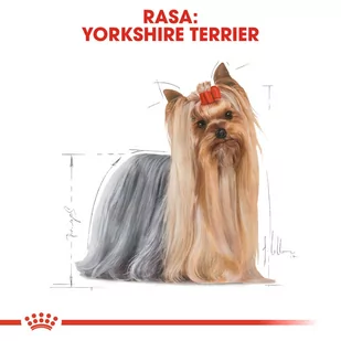 ROYAL CANIN Yorkshire Terrier Adult 1,5kg karma sucha dla psów dorosłych rasy yorkshire terrier - Sucha karma dla psów - miniaturka - grafika 3