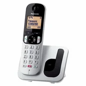 Telefony stacjonarne - Panasonic Telefon Bezprzewodowy KX-TGC250SPS Szary Srebro - miniaturka - grafika 1
