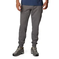 Spodnie sportowe męskie - Spodnie Columbia CSC Logo Fleece Jogger II 1911601025 - szare - miniaturka - grafika 1