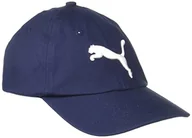 Czapki męskie - Puma Czapka 052919.M - miniaturka - grafika 1