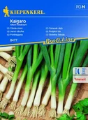Nasiona i cebule - Czosnek Dęty Kaigaro – Kiepenkerl - miniaturka - grafika 1