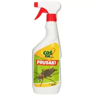 Zwalczanie i odstraszanie szkodników - Oprysk Na Prusaki I Karaluchy Gotowy Do Użycia Środek Spray Coś Na Prusaki I Karaluchy Rtu 450 Ml - miniaturka - grafika 1