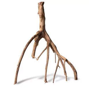 RHIZOPHORA MANGLE "THE RED MANGROVE" - NATURALNY KORZEŃ MANGROWCA ROZMIAR S - Dekoracje do terrarium - miniaturka - grafika 1