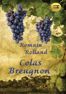 Colas Breugnon - Audiobooki - historia - miniaturka - grafika 1