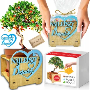 Prezent na DZIEŃ DZIADKA Drzewko Truskawkowe Zestaw do Uprawy Nasiona - Nasiona i cebule - miniaturka - grafika 1