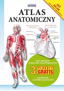 Atlas anatomiczny - Atlasy i mapy - miniaturka - grafika 1