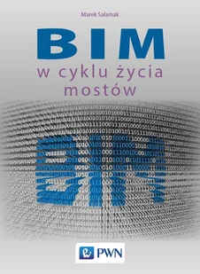 Bim W Cyklu Życia Mostów Marek Salamak - Nauka - miniaturka - grafika 1