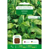 Nasiona i cebule - Szpinak Matador nasiona W.Legutko - miniaturka - grafika 1