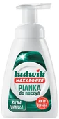 Płyny do naczyń - Pianka do naczyń Ludwik Maxx Power 300 ml  ! - miniaturka - grafika 1